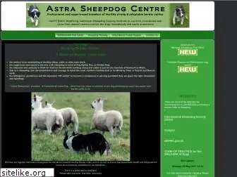sheepdogsforsale.com