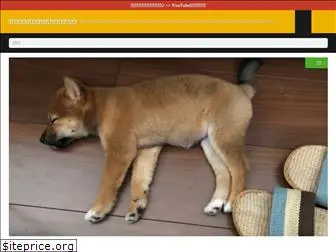 shibainu-mikan.com