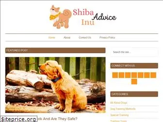 shibainuadvice.com