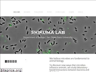 shikumalab.com