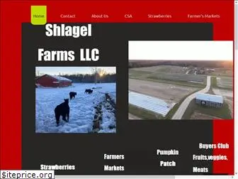 shlagelfarms.com