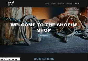 shoeinshop.com
