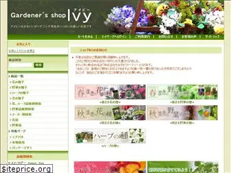 shop-ivy.com