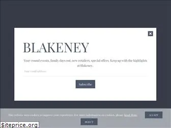shopblakeney.com