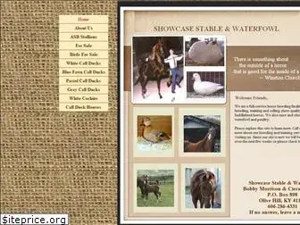 showcasestable.com