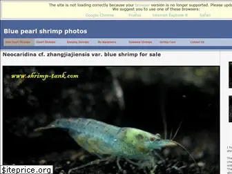 shrimp-tank.com