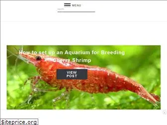shrimptips.com