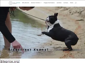 sidestreetkennel.com