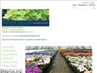 signaturehydrangeas.co.uk