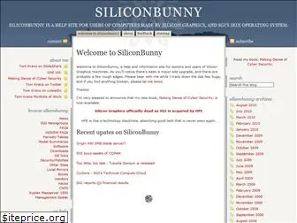 siliconbunny.com