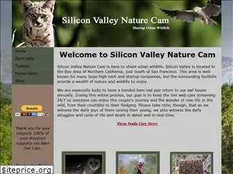 siliconvalleynaturecam.com