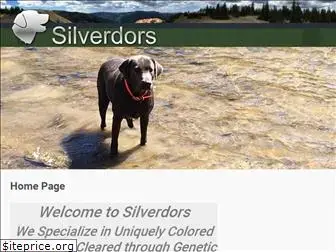 silverdors.com