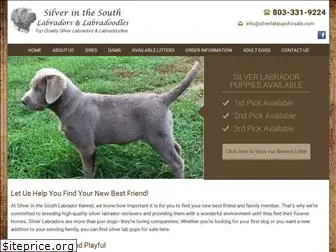 silverlabpupsforsale.com