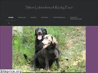 silverlabradorsofrockyface.com