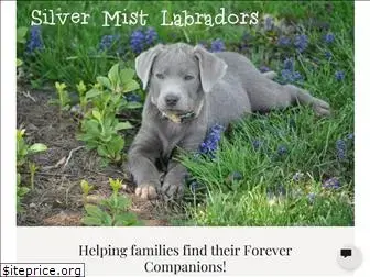 silvermistlabradors.com