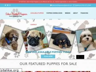 silvernickelpuppies.com