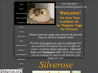silveroselabs.com