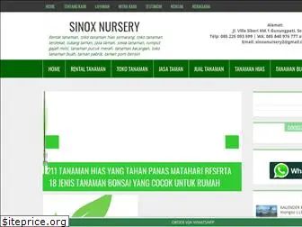 sinoxnursery.com