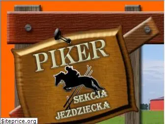 sjpiker.pl