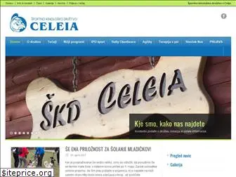 skd-celeia.si