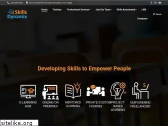 skillsdynamix.com