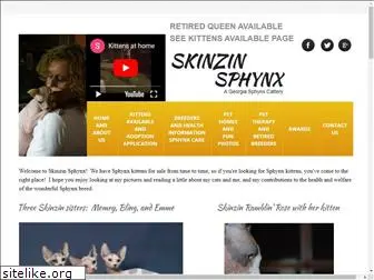 skinzin.com