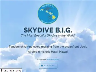 skydivebig.com