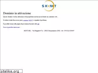 skynet-srl.com