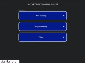 skynetaviationgroup.com