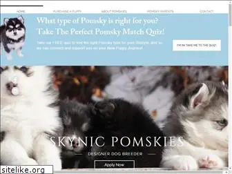 skynicpomskies.com