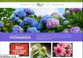 skynursery.com