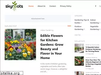 www.skyroots.site