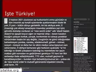 skyturkvngenc.wordpress.com