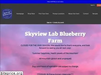 skyviewlabblueberryfarm.com