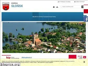 slonsk.pl