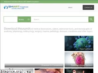 smartimagebase.com