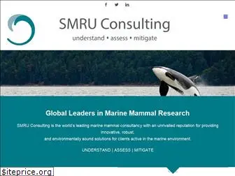 smruconsulting.com