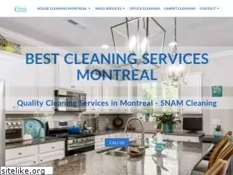 snamcleaning.com