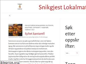 snikgjest.com