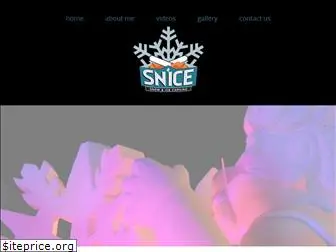 snowandicecarving.com