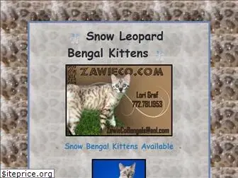 snowbengalkittensforsale.com