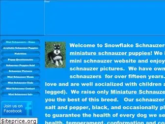 snowflakeschnauzers.com