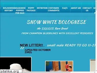 snowwhitebolognese.com