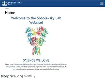 sobolevskylab.org