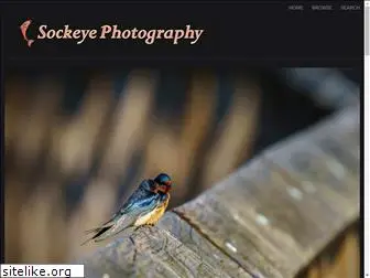 sockeyephotography.com