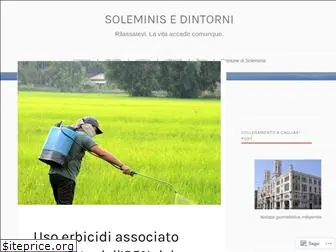 soleminis.wordpress.com