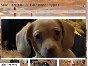 sonorandoxies.com