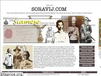 soravij.com