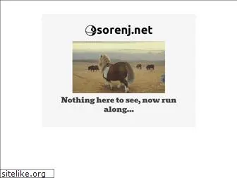 sorenj.net