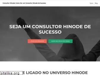 souconsultor.com.br